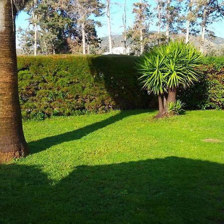 Villa SotiroullaKato Yialia エクステリア 写真